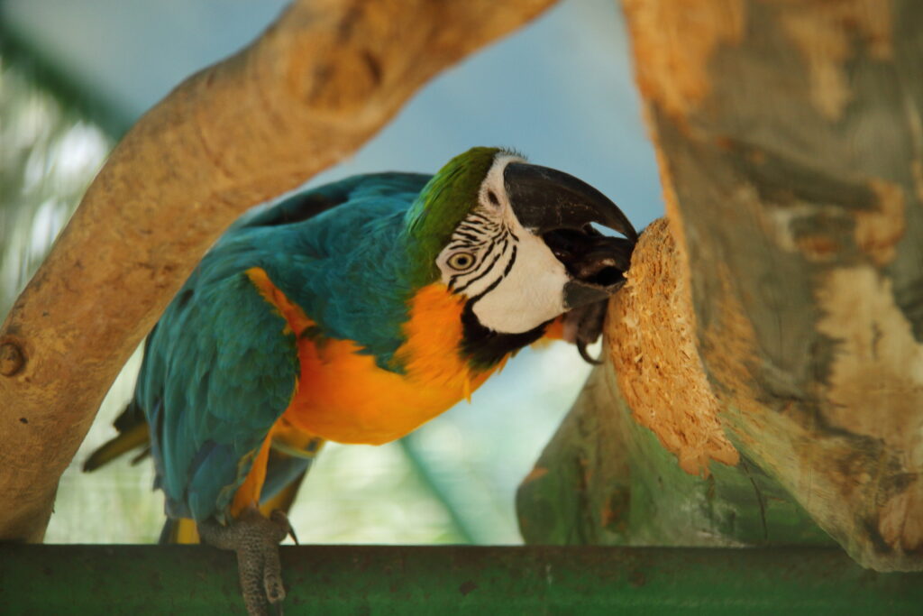 8 Tips For Travel In Costa Rica: Travel In Costa Rica Safety